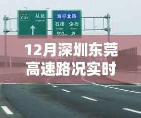 东莞高速奇遇与家的温暖,实时路况播报(十二月版)