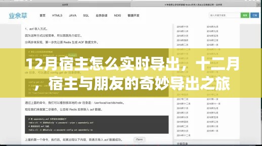 十二月宿主与朋友的奇妙导出之旅,实时操作指南