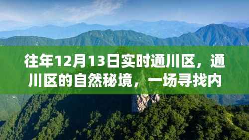 通川区自然秘境,寻找内心平静的奇妙之旅,12月13日实时探索之旅
