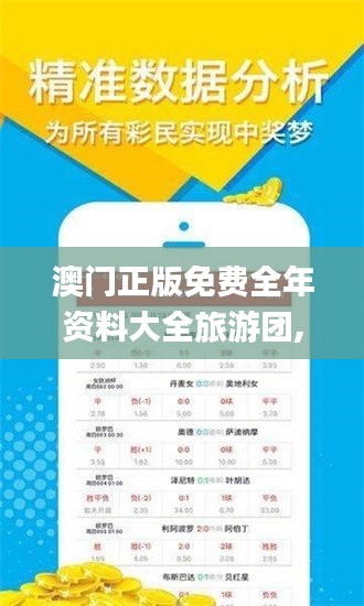 澳门正版免费全年资料大全旅游团,专业说明评估_手游版7.382