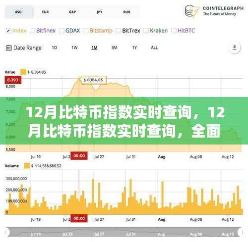 12月比特币指数实时查询,全面评测与详细介绍
