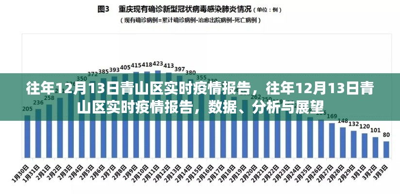 往年12月13日青山区疫情实时报告,数据、分析与未来展望