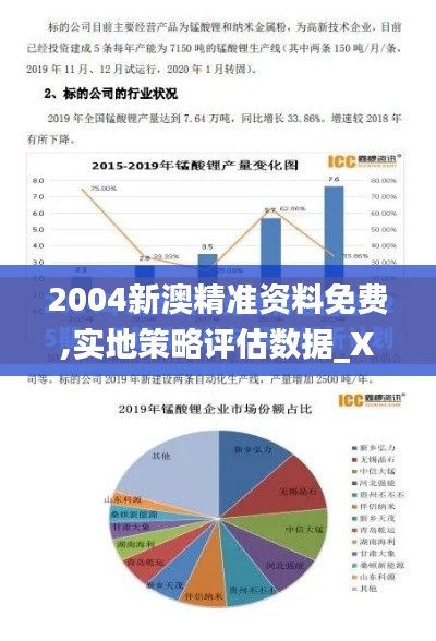 2004新澳精准资料免费,实地策略评估数据_XR15.278