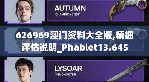 626969澳门资料大全版,精细评估说明_Phablet13.645