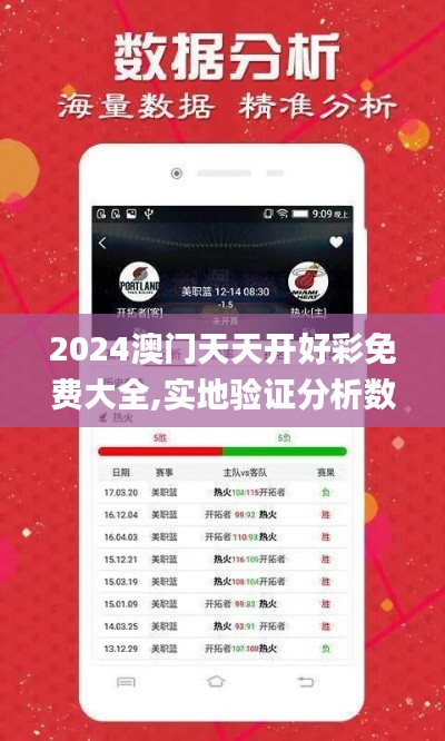 2024澳门天天开好彩免费大全,实地验证分析数据_V2.919