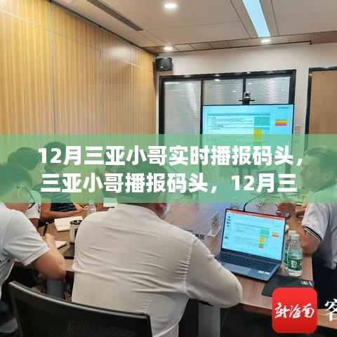 12月三亚港口实时资讯播报与深度评测,小哥带你直击码头动态