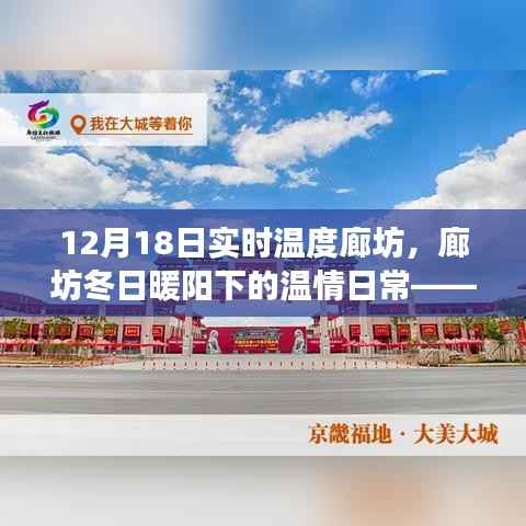 廊坊冬日暖阳下的温情日常，实时温度之旅