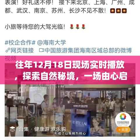 探索自然秘境,一场由心启航的旅行盛宴,相约自然之门的盛宴