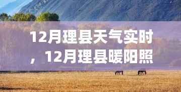 12月理县天气实时观察,暖阳下的学习与成就之旅