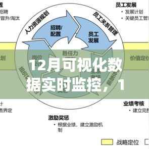 掌握关键信息的力量,12月可视化数据实时监控助力高效决策执行