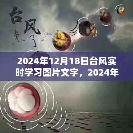 台风影响下的实时学习图片文字研究,观点阐述与探讨