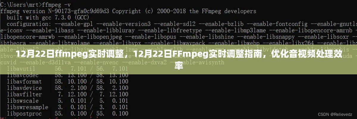 FFmpeg实时调整指南,提高音视频处理效率的优化策略(12月22日)