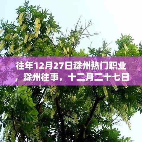 滁州十二月二十七日职业风采变迁回顾,历史影响与今日热门职业解析