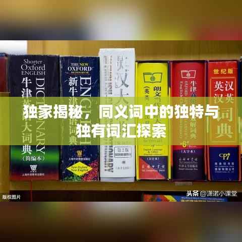 独家揭秘,同义词中的独特与独有词汇探索