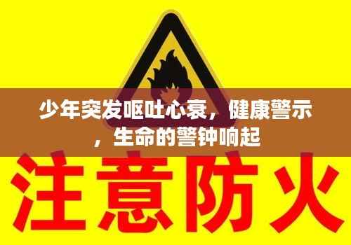 少年突发呕吐心衰,健康警示,生命的警钟响起