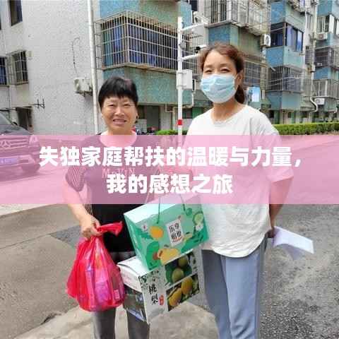 失独家庭帮扶的温暖与力量,我的感想之旅