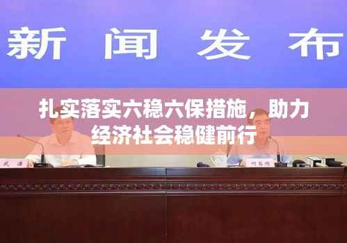 扎实落实六稳六保措施,助力经济社会稳健前行
