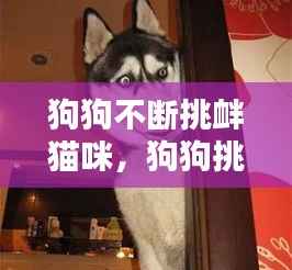 恋恋不舍 第2页