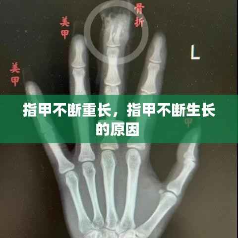 高抬贵手 第2页