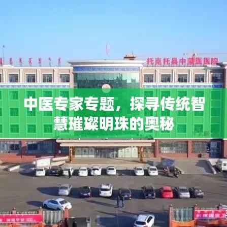 中医专家专题,探寻传统智慧璀璨明珠的奥秘