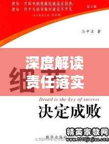 深度解读责任落实剖析材料,细节揭示成败关键