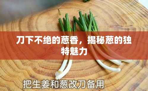 明目张胆 第2页