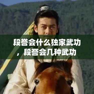 段誉会什么独家武功,段誉会几种武功