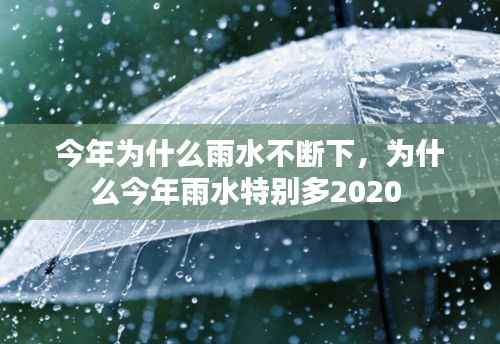行疾如飞 第2页