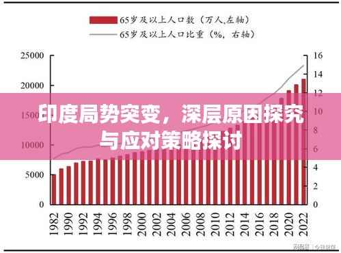 虚张声势 第2页