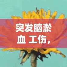 云屯鸟散 第2页
