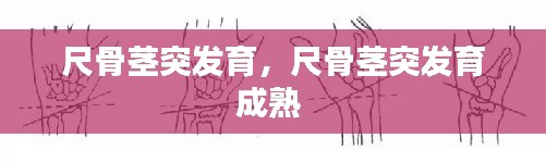 将陋就简 第2页