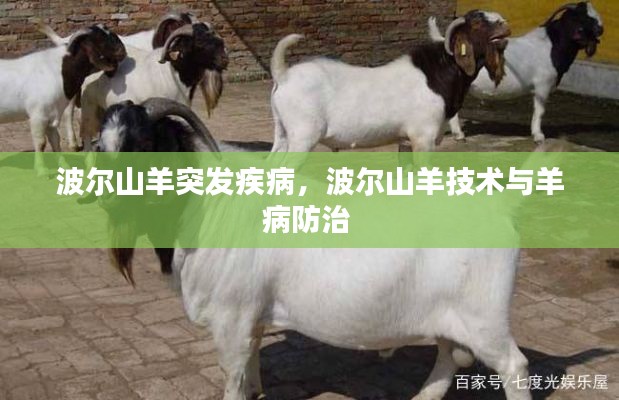 波尔山羊突发疾病,波尔山羊技术与羊病防治