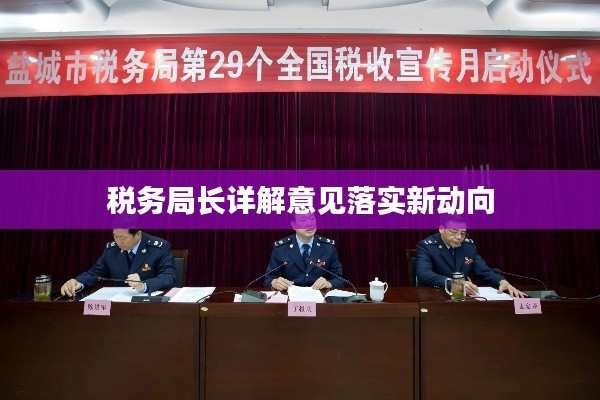 税务局长详解意见落实新动向