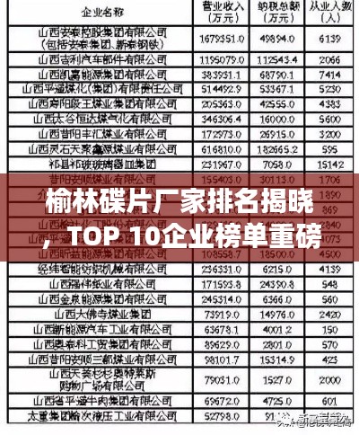 榆林碟片厂家排名揭晓,TOP 10企业榜单重磅出炉!