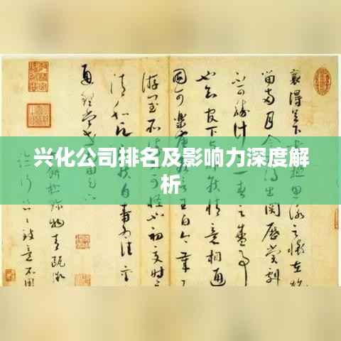 兴化公司排名及影响力深度解析