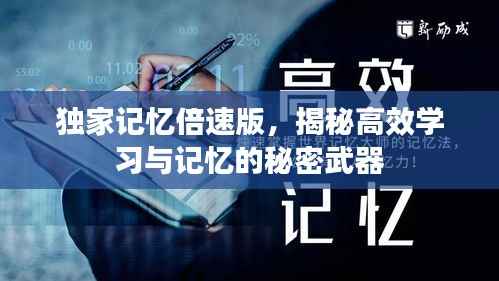 独家记忆倍速版,揭秘高效学习与记忆的秘密武器