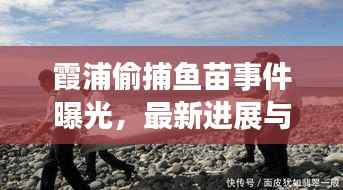 霞浦偷捕鱼苗事件曝光，最新进展与细节揭秘