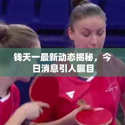 钱天一最新动态揭秘，今日消息引人瞩目