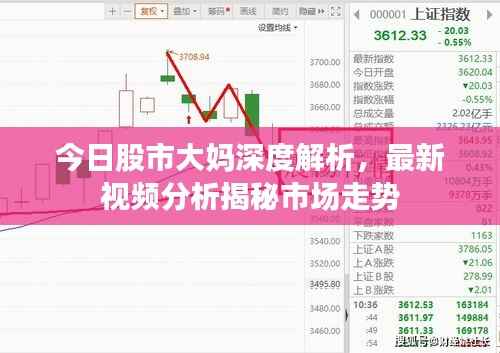今日股市大妈深度解析，最新视频分析揭秘市场走势