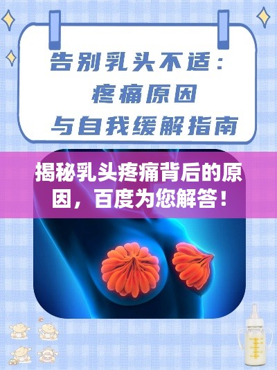 将机就机 第2页