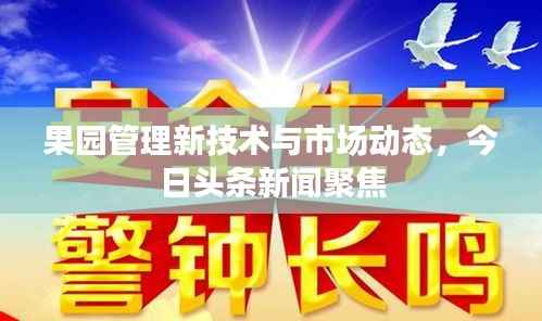果园管理新技术与市场动态，今日头条新闻聚焦