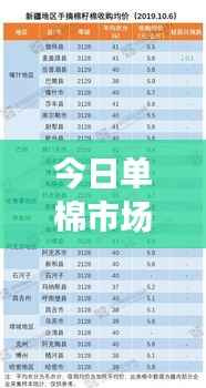 今日单棉市场消息速递,最新动态一网打尽