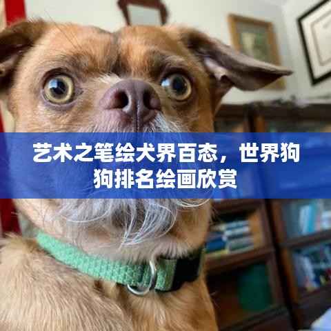 飞天遁地 第2页