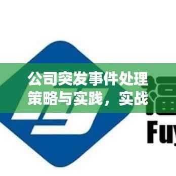 公司突发事件处理策略与实践,实战指南