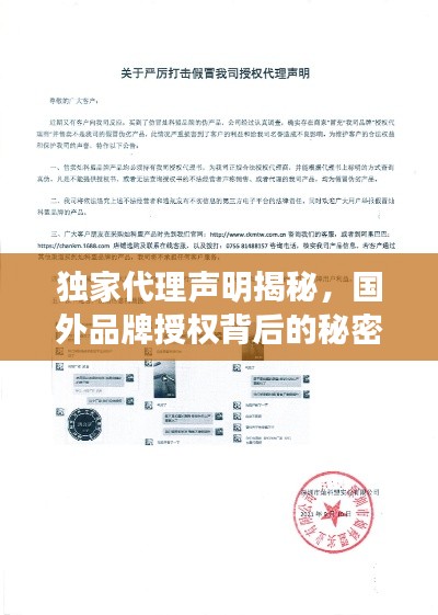 纲举目张 第2页