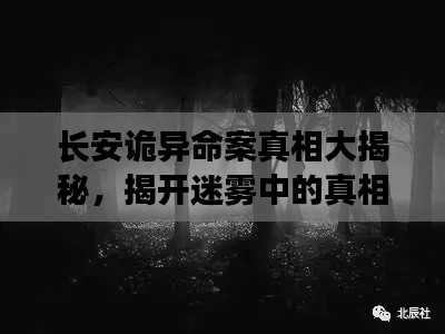 长安诡异命案真相大揭秘,揭开迷雾中的真相!