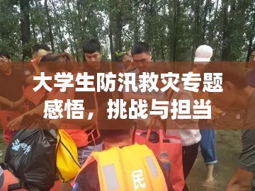 大学生防汛救灾专题感悟,挑战与担当