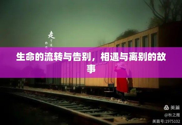 生命的流转与告别,相遇与离别的故事