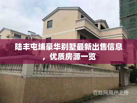 陆丰屯埔豪华别墅最新出售信息,优质房源一览