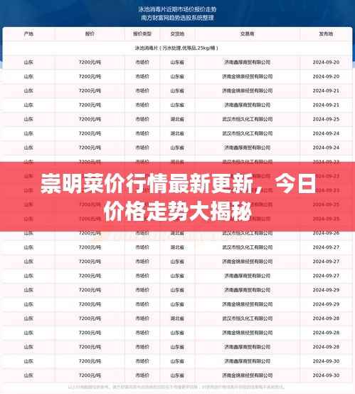 崇明菜价行情最新更新，今日价格走势大揭秘